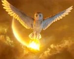 "Legend of the Guardians: The Owls of Ga'Hoole" 3D Movie