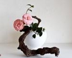 Ikebana and Japanese Dolls Exibition