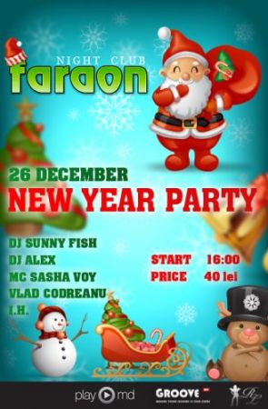 New Year Teenage Party