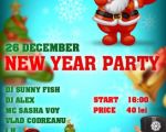 New Year Teenage Party