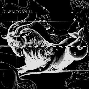 Zodiac Party Capricorn