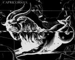 Zodiac Party Capricorn