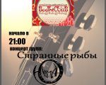 Rock concert
